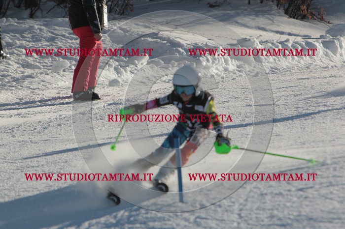 MAT_3519.JPG