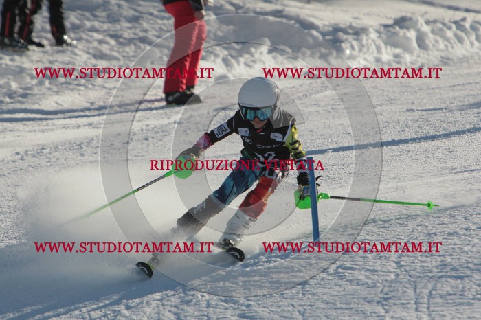 MAT_3520.JPG