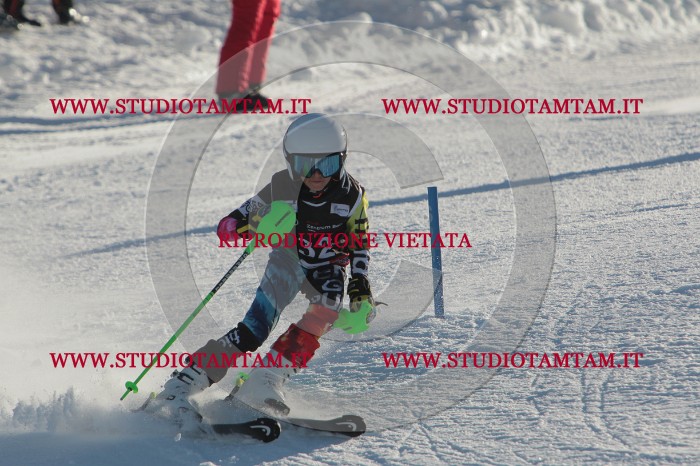 MAT_3521.JPG