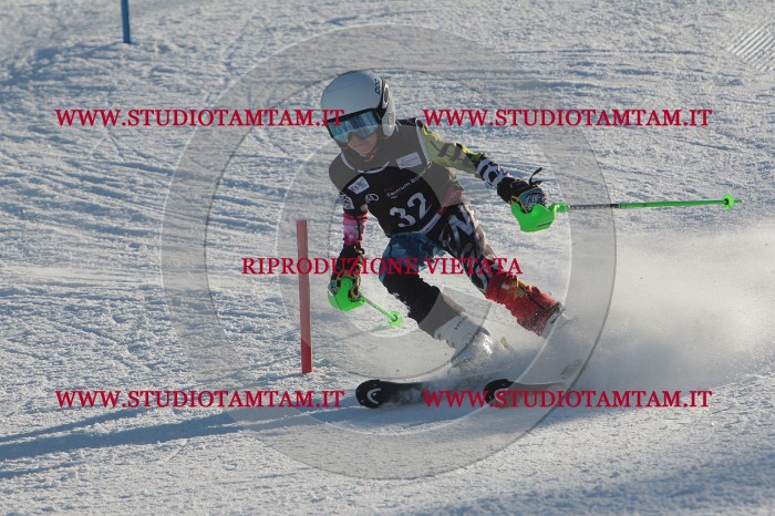 MAT_3523.JPG