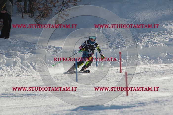 MAT_3529.JPG