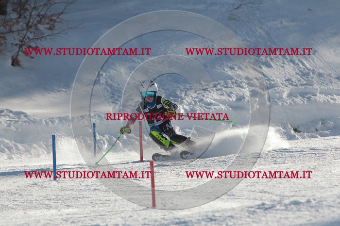 MAT_3530.JPG