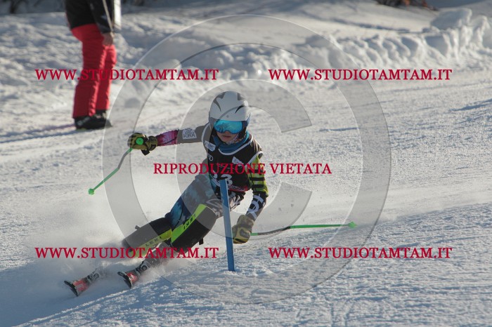 MAT_3536.JPG