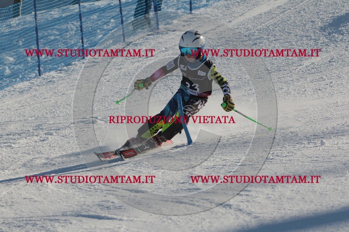 MAT_3540.JPG
