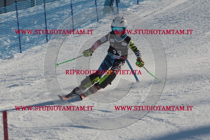 MAT_3541.JPG