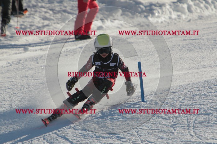 MAT_3552.JPG