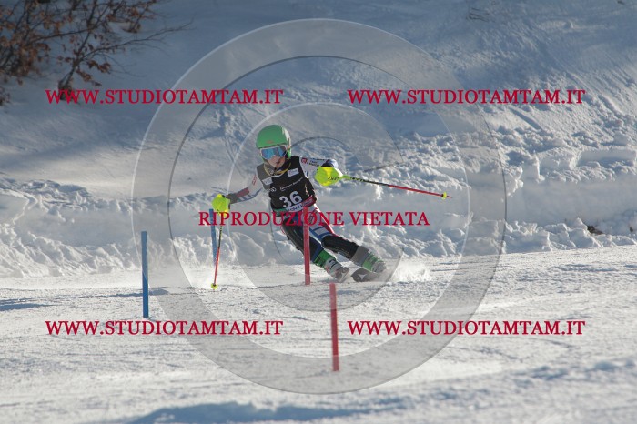 MAT_3557.JPG
