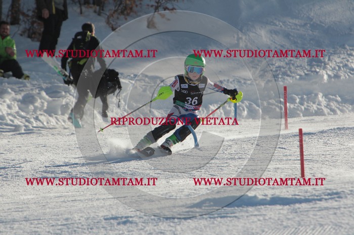 MAT_3559.JPG