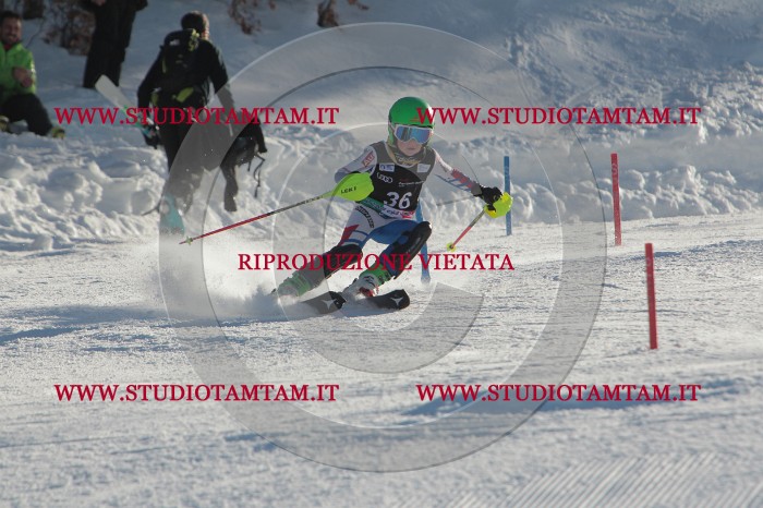 MAT_3560.JPG