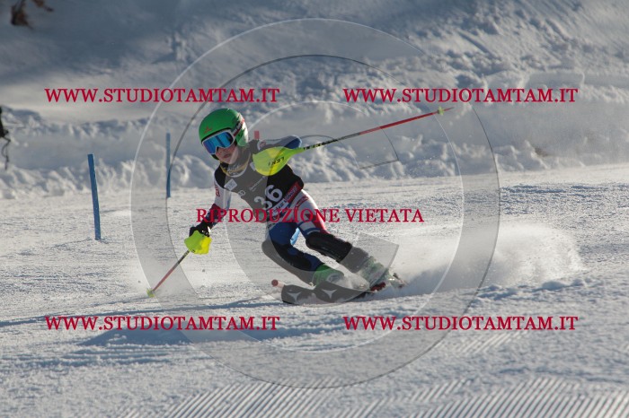 MAT_3562.JPG