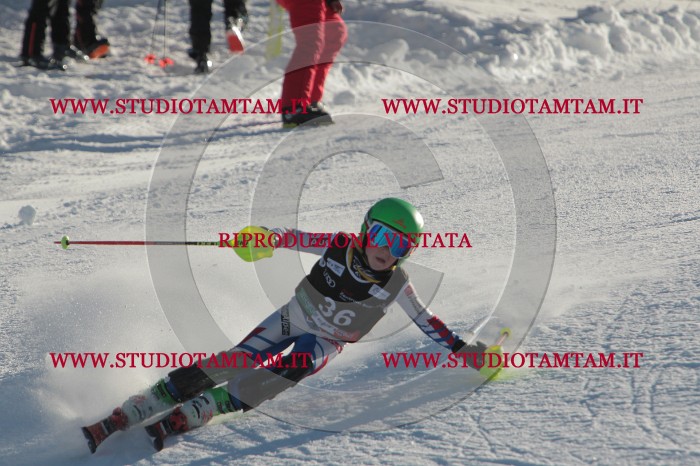 MAT_3564.JPG