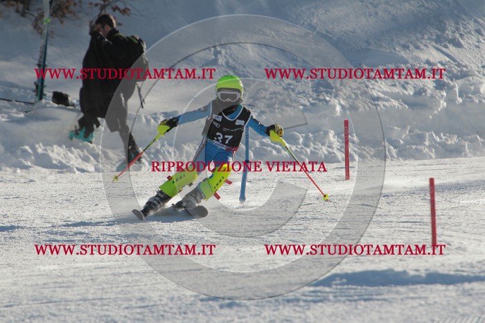 MAT_3567.JPG