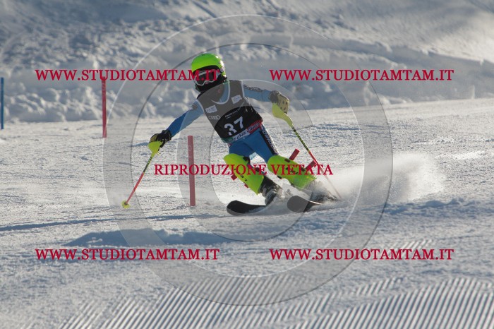 MAT_3569.JPG