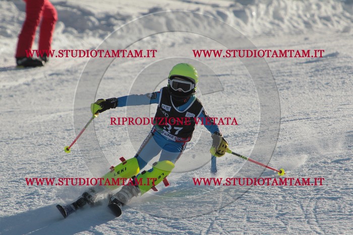 MAT_3571.JPG
