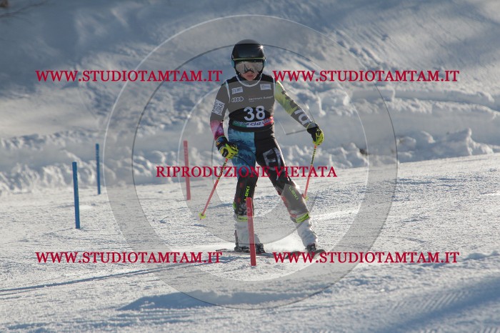 MAT_3583.JPG