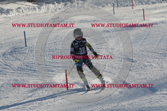 MAT_3586.JPG