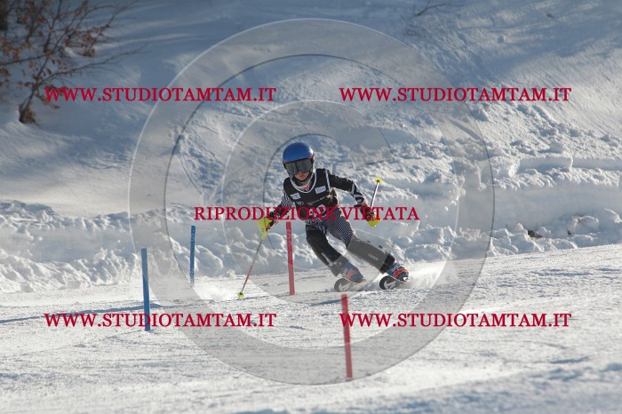 MAT_3590.JPG