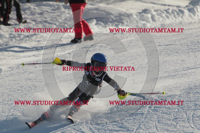 MAT_3596.JPG