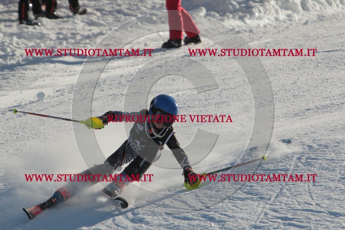 MAT_3597.JPG