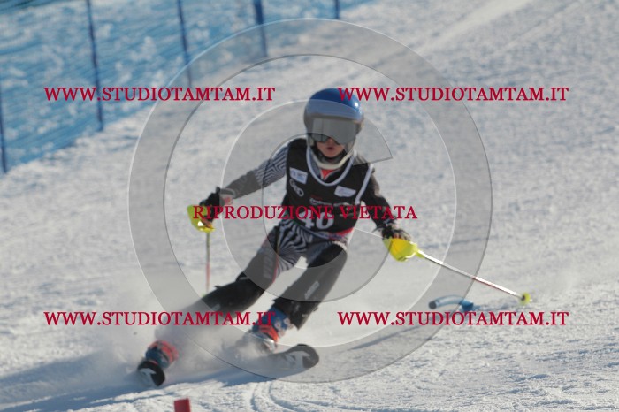 MAT_3598.JPG