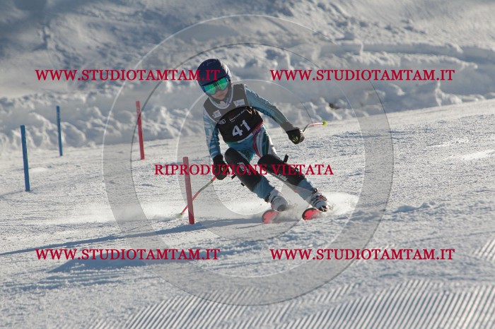 MAT_3606.JPG