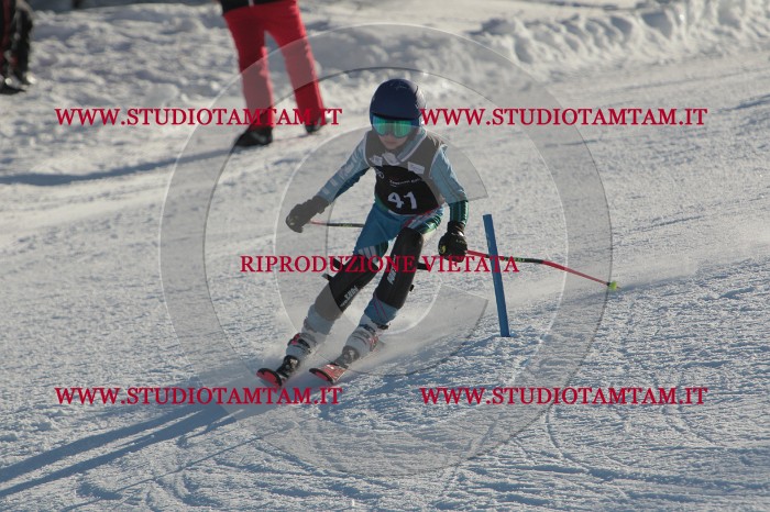 MAT_3608.JPG
