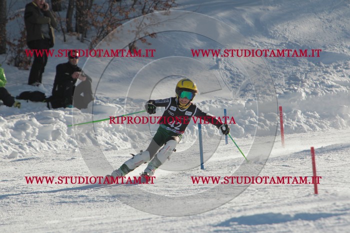 MAT_3615.JPG