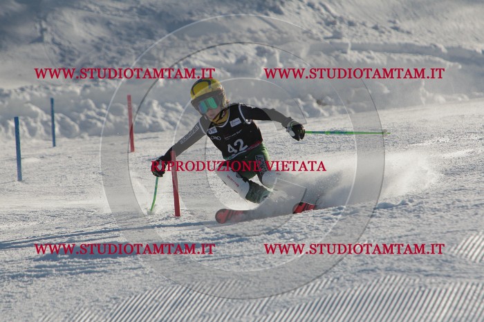 MAT_3618.JPG