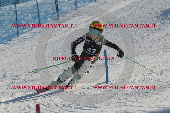 MAT_3621.JPG