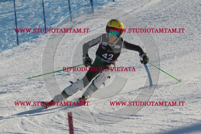 MAT_3622.JPG
