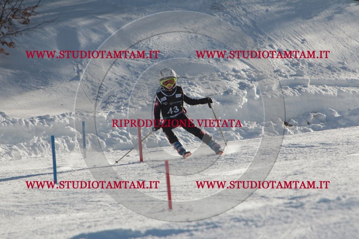 MAT_3625.JPG
