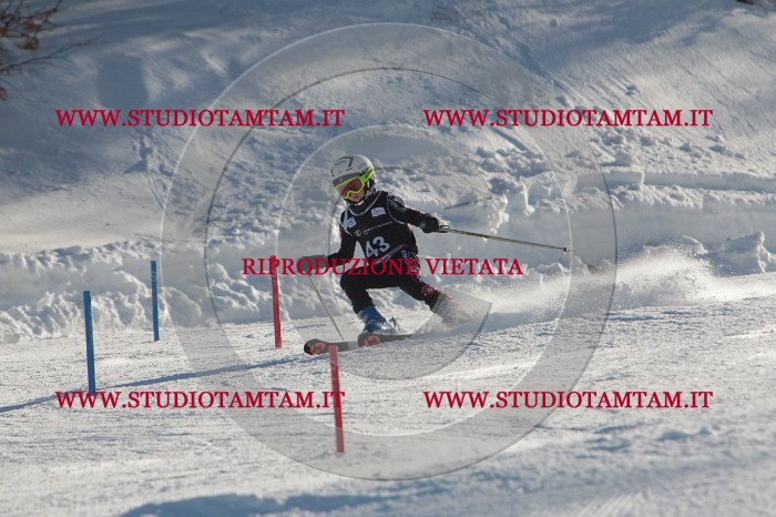 MAT_3626.JPG