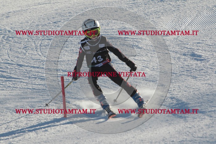 MAT_3632.JPG