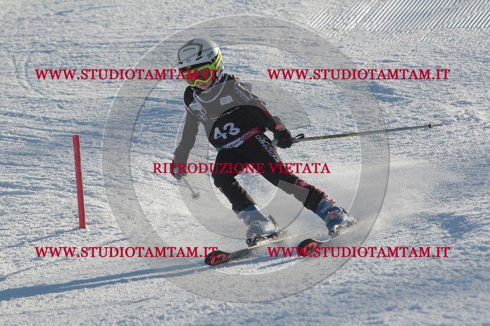 MAT_3633.JPG