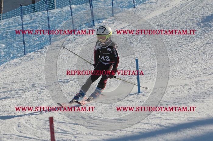 MAT_3634.JPG