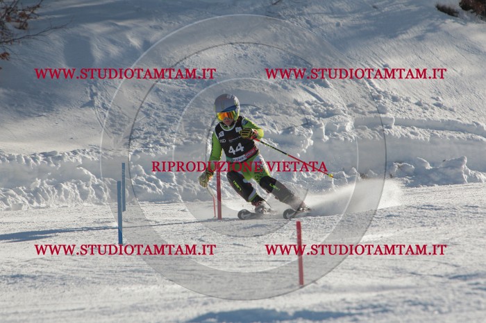 MAT_3640.JPG