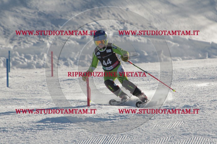 MAT_3644.JPG