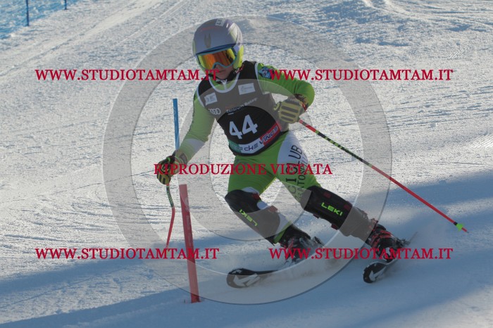 MAT_3652.JPG
