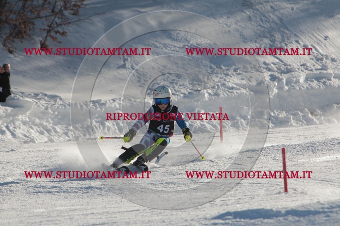 MAT_3658.JPG