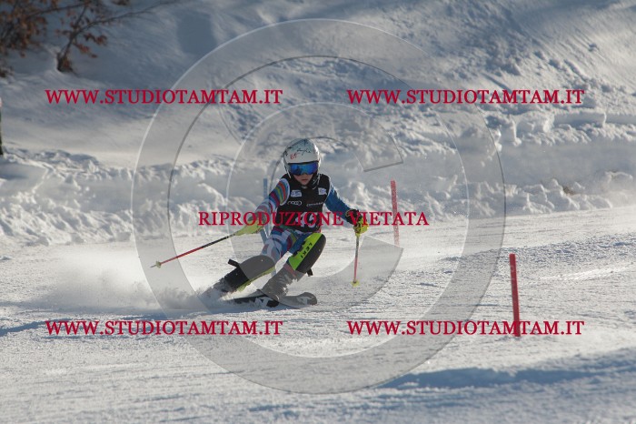 MAT_3659.JPG