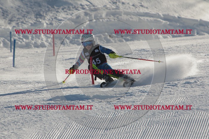 MAT_3661.JPG