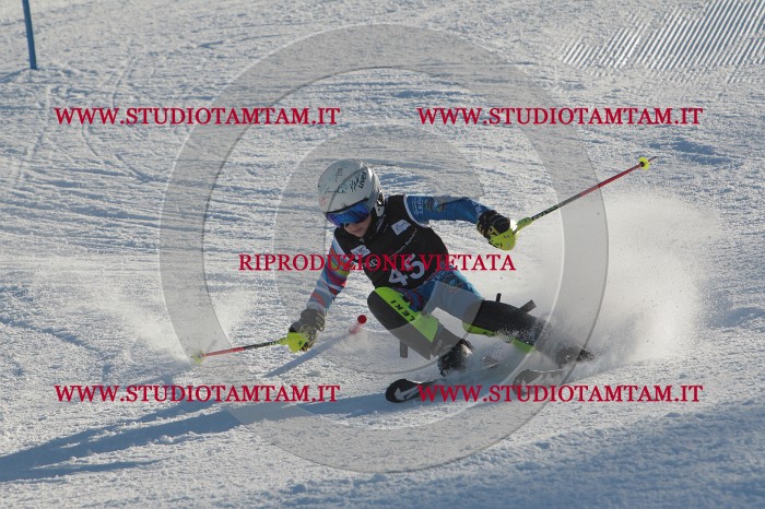 MAT_3665.JPG