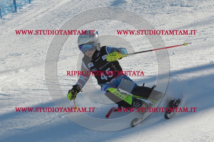 MAT_3668.JPG