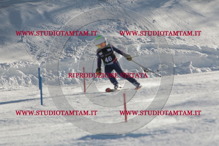 MAT_3670.JPG