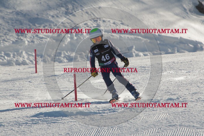 MAT_3673.JPG
