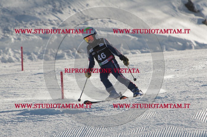 MAT_3674.JPG