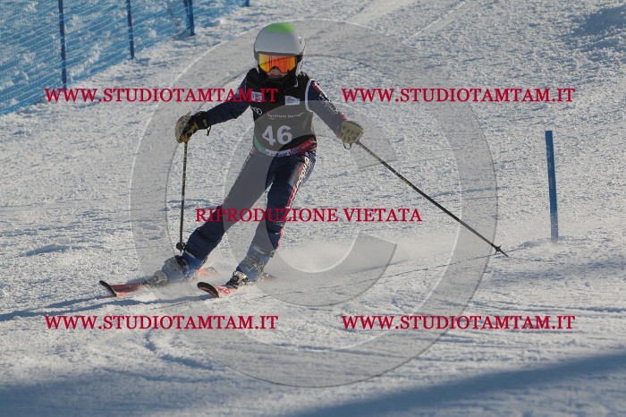MAT_3680.JPG