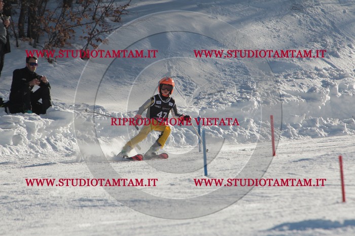 MAT_3683.JPG