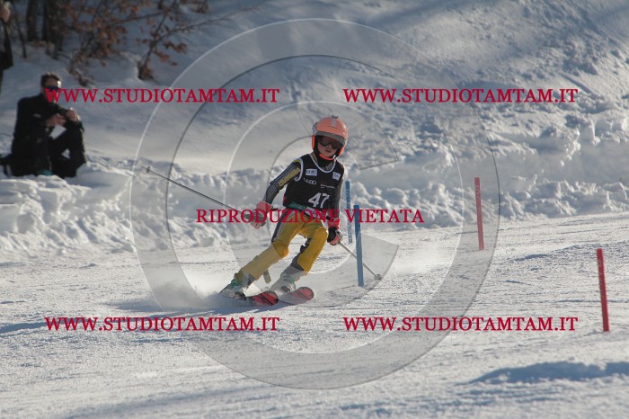 MAT_3687.JPG