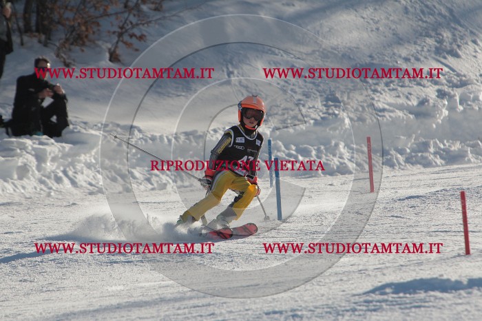 MAT_3688.JPG